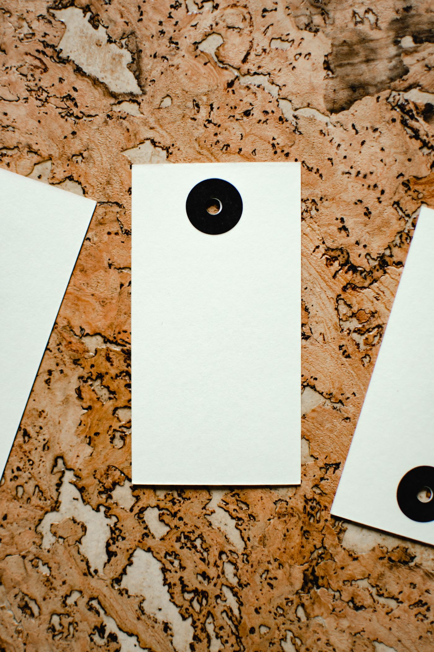 Blank paper tag with a tie
